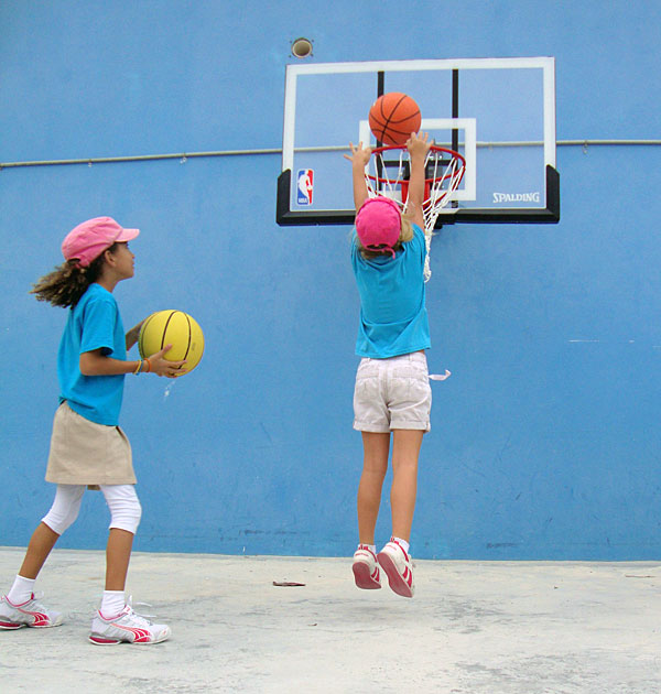 Our New Basketball Hoop — Provo Primary School