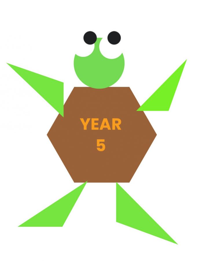 Year 5 Turtle Class — Provo Primary School